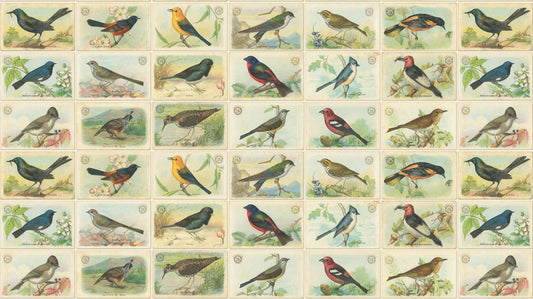Outdoorsy Natural Bird Cards by Cathe Holden for Moda Fabrics
