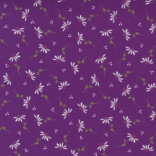 Sincerely Yours Purple Iris with White Daisies by Sherri and Chelsi for Moda Fabrics